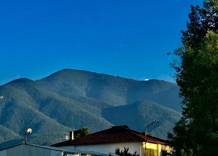 Luxury Downtown - Gondola *